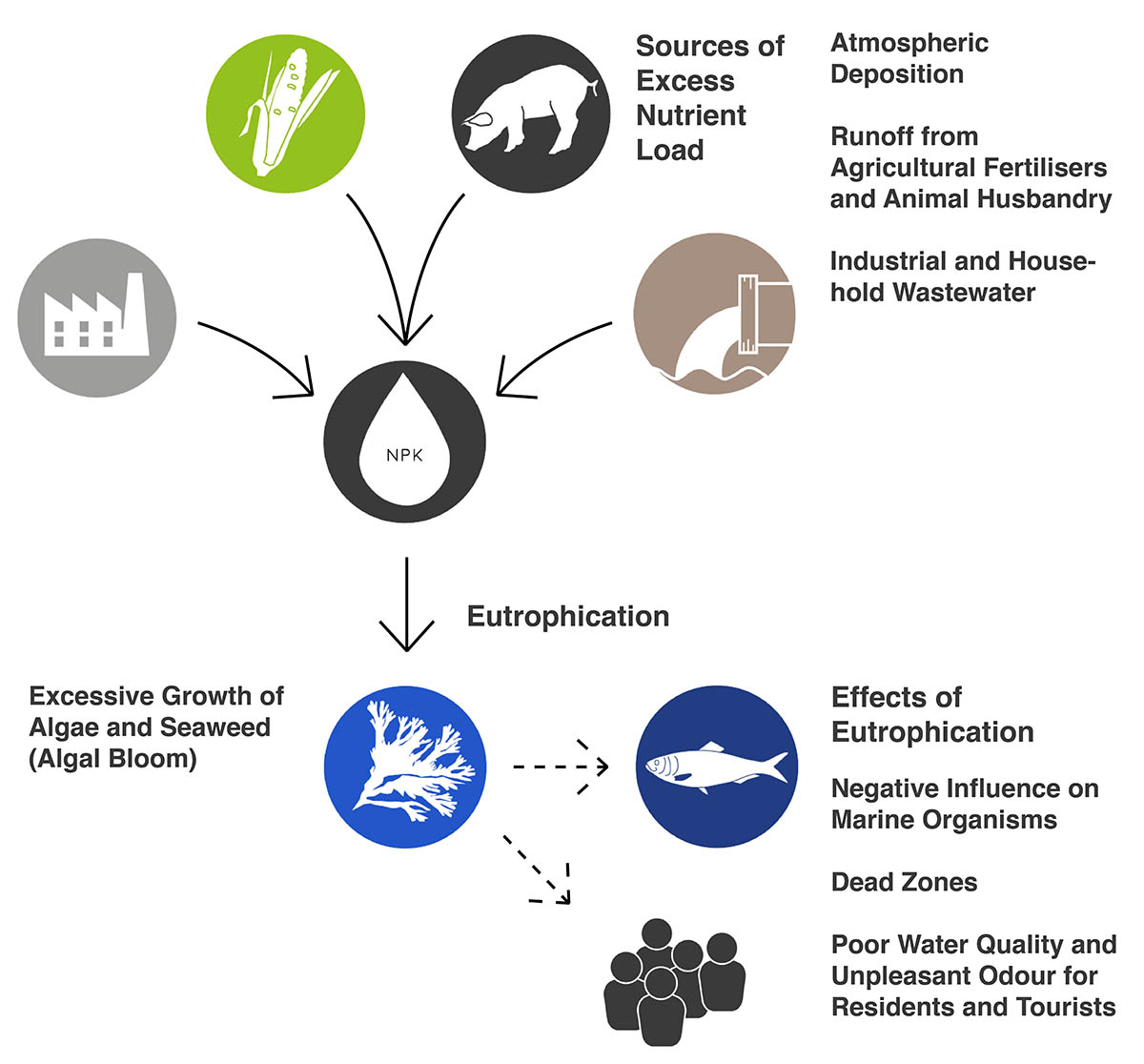 Eutrophication