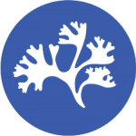 Seaweed and Eutrophication
