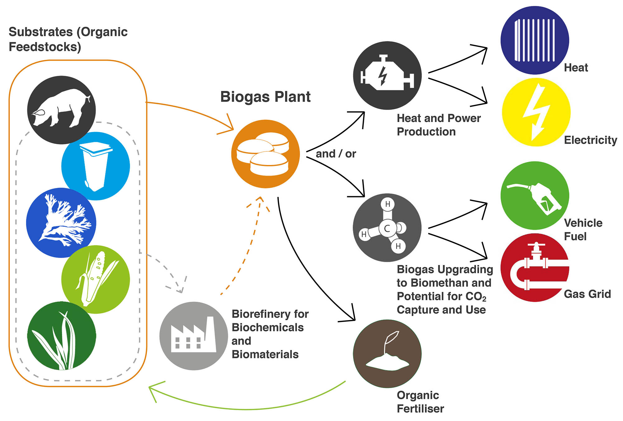 Biogas value chain