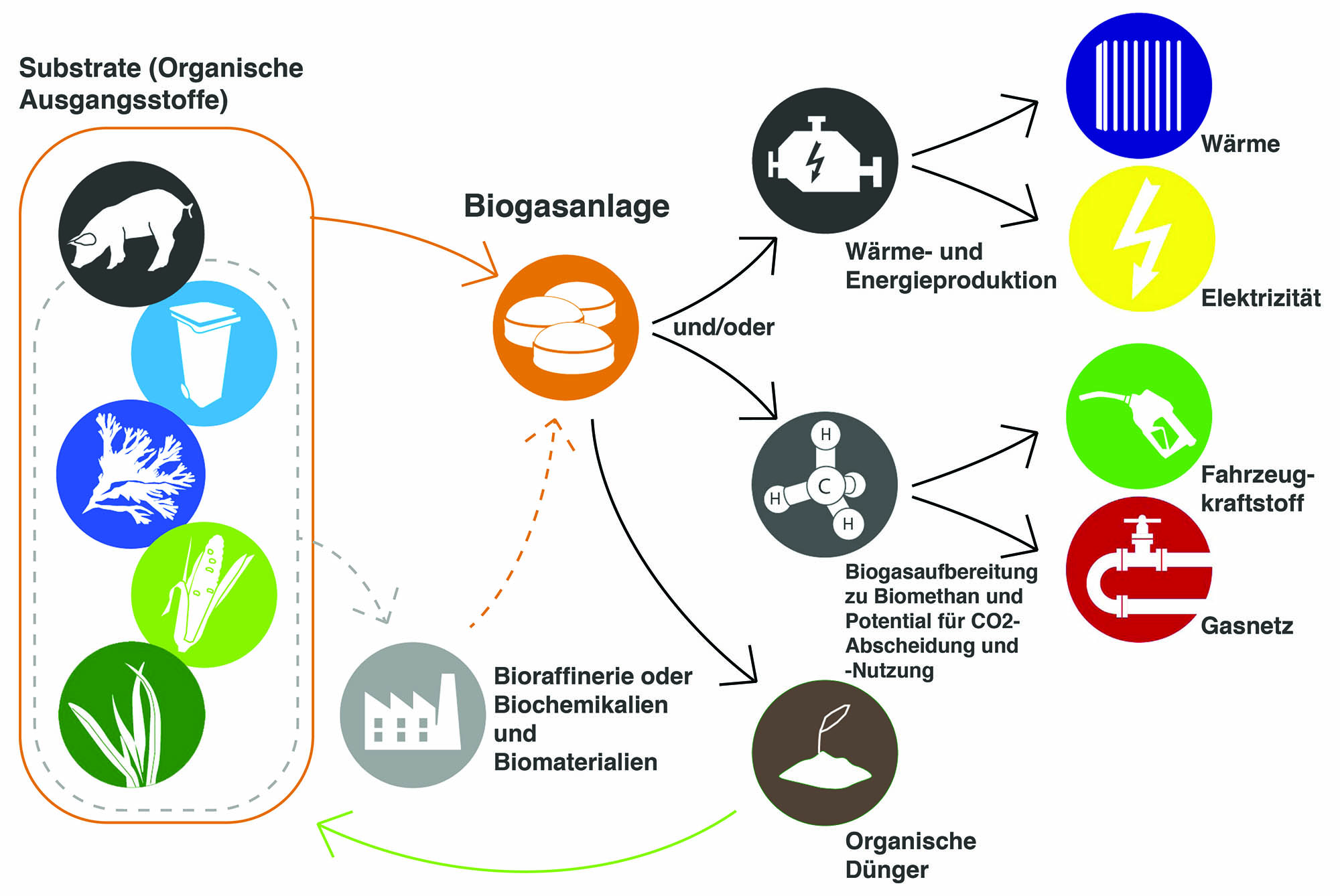 Biogas Wertschöpfungskette
