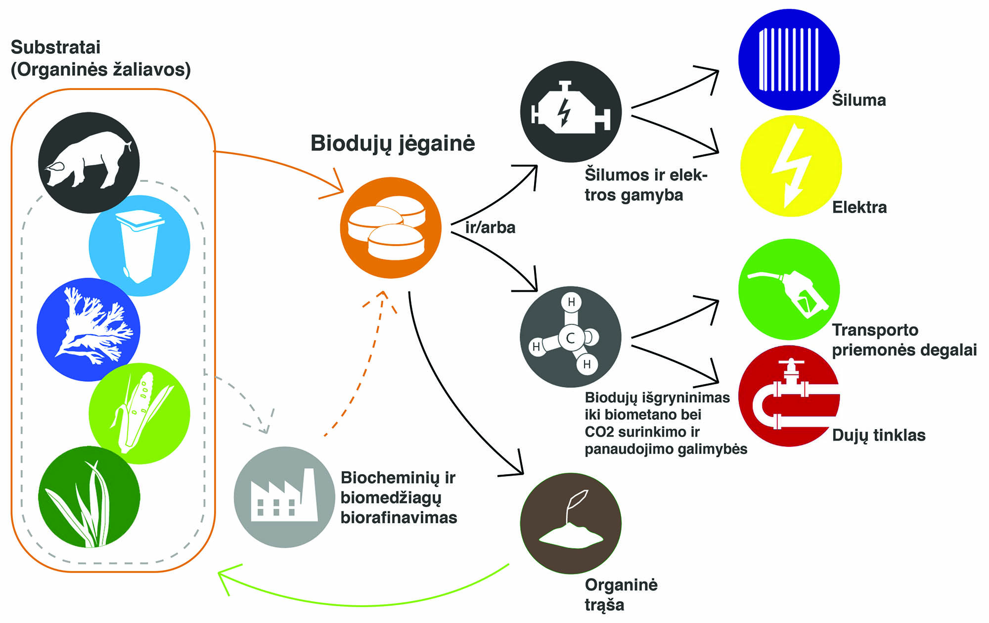 Biogas value chain