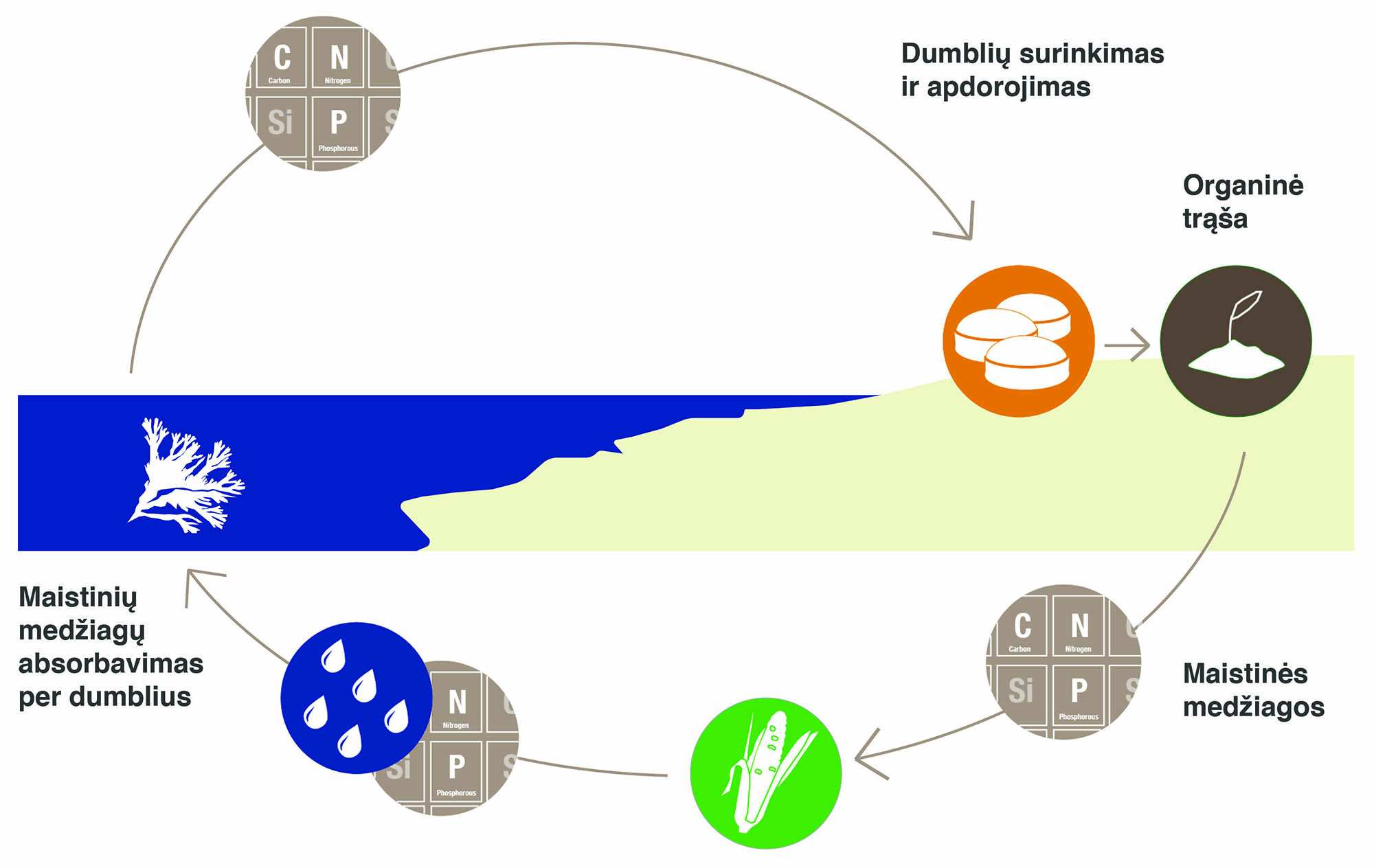 Nutrient recycling