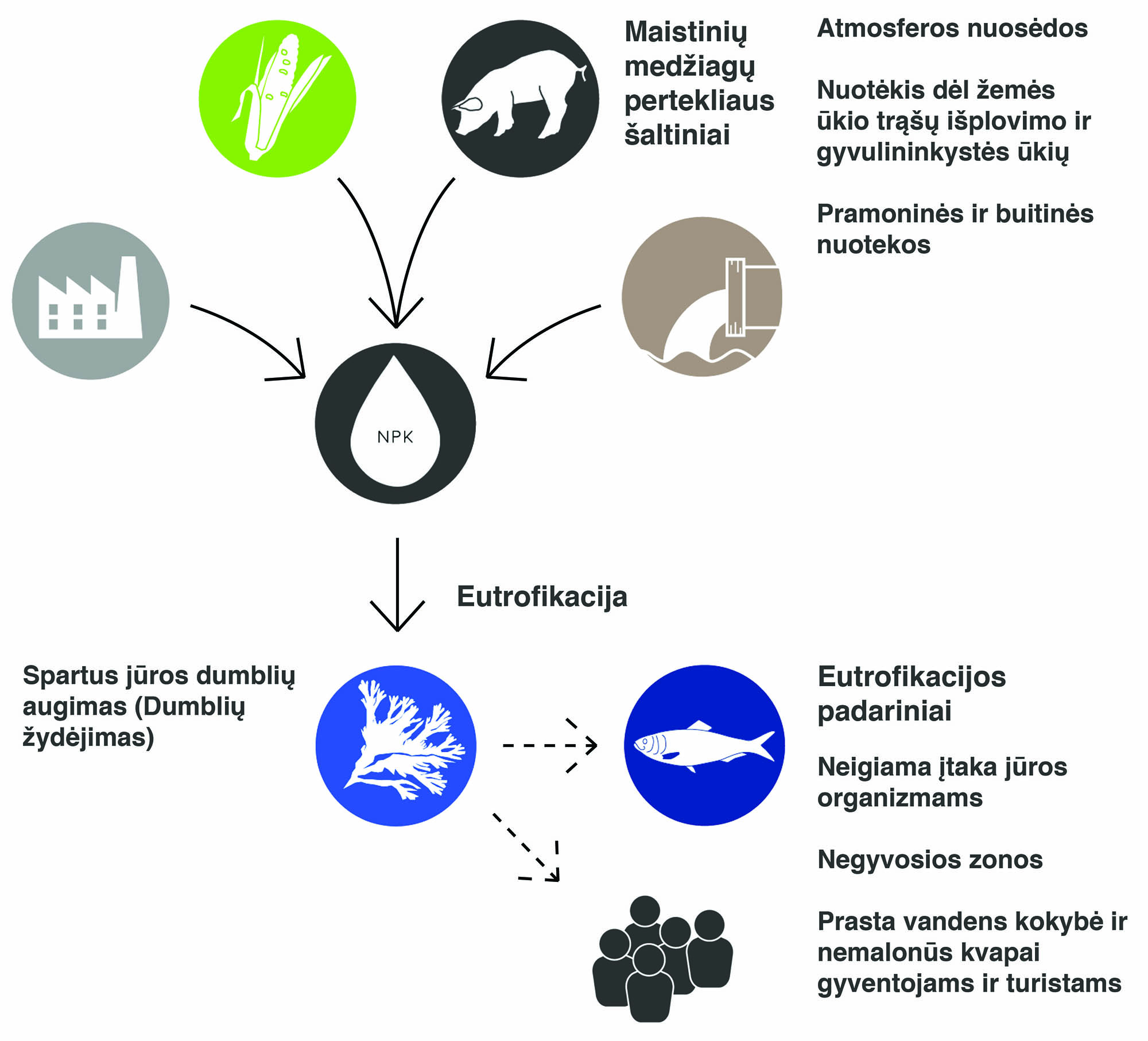 Eutrophication