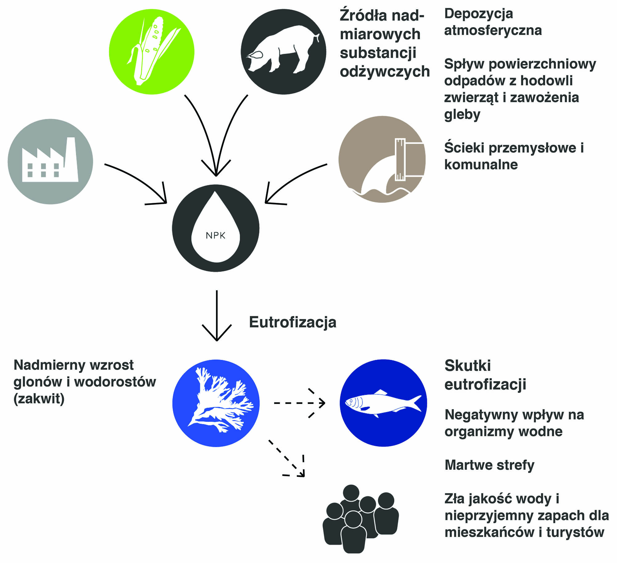 Eutrophication